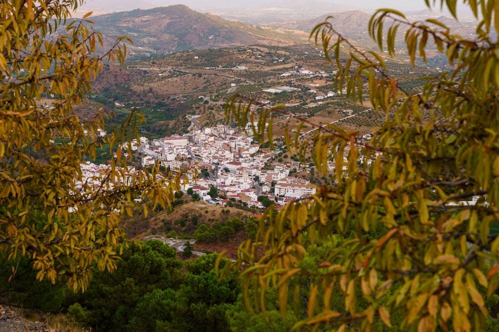 Cerro De Hijar 호텔 톨록스 외부 사진